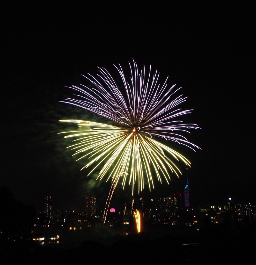 福岡大濠花火大会