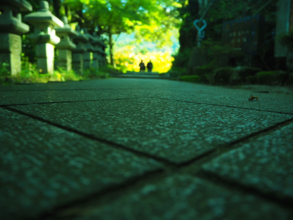 千如寺の参拝者