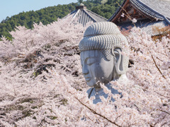 壺阪寺