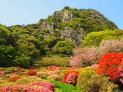 御船山のつつじ