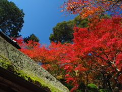 別格本山大興善寺