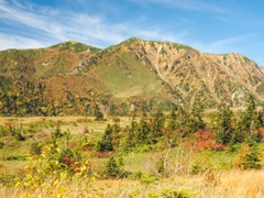 弥陀ヶ原湿原