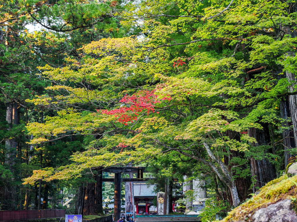 日光東照宮