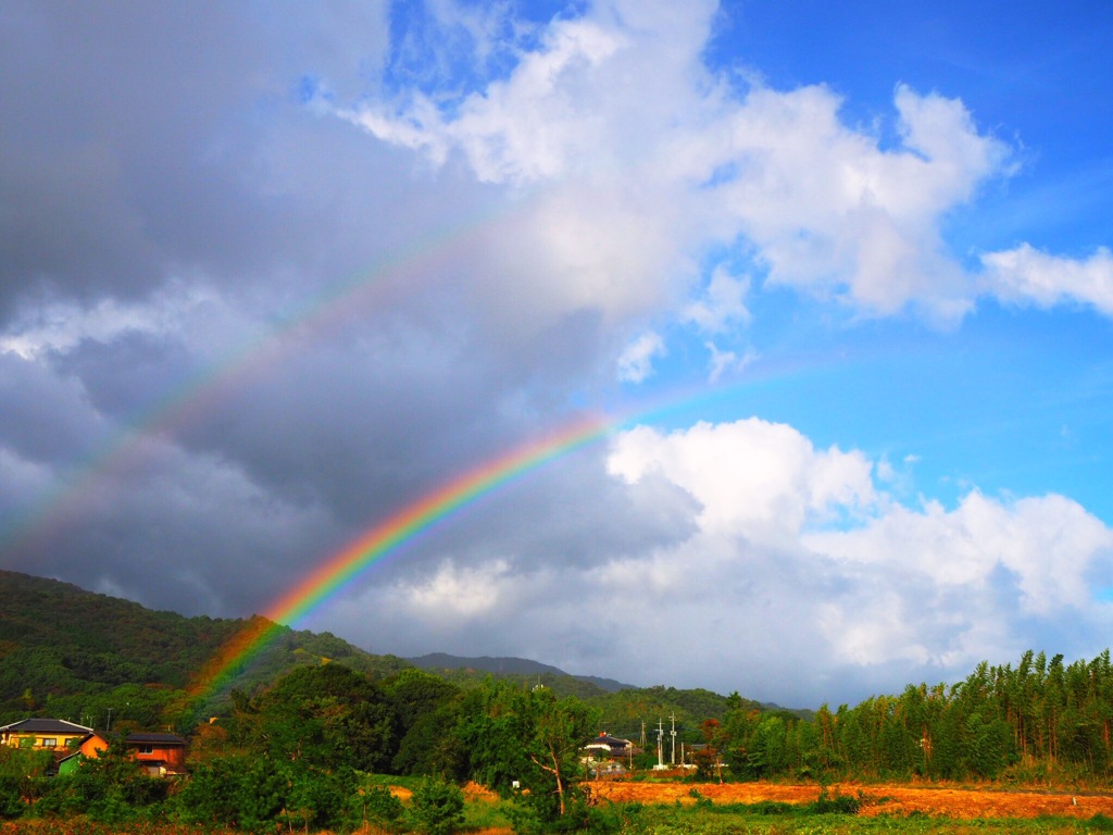 2本の虹