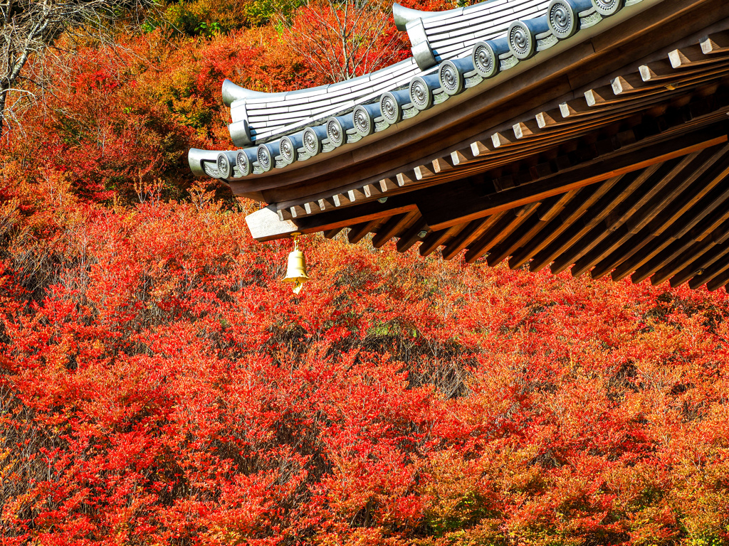 呑山観音寺