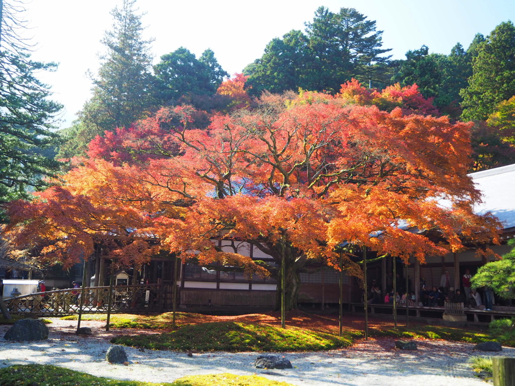 別格本山大覚寺派千如寺