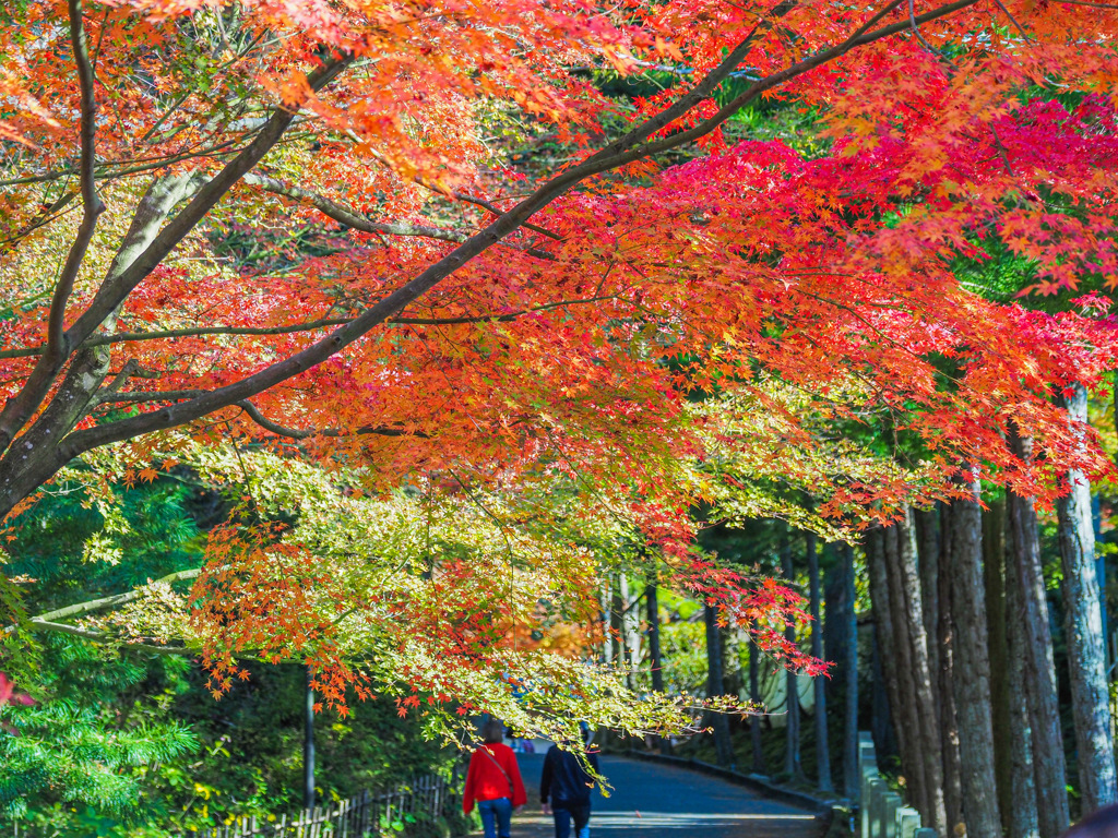 呑山観音寺
