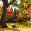 清水寺本坊庭園