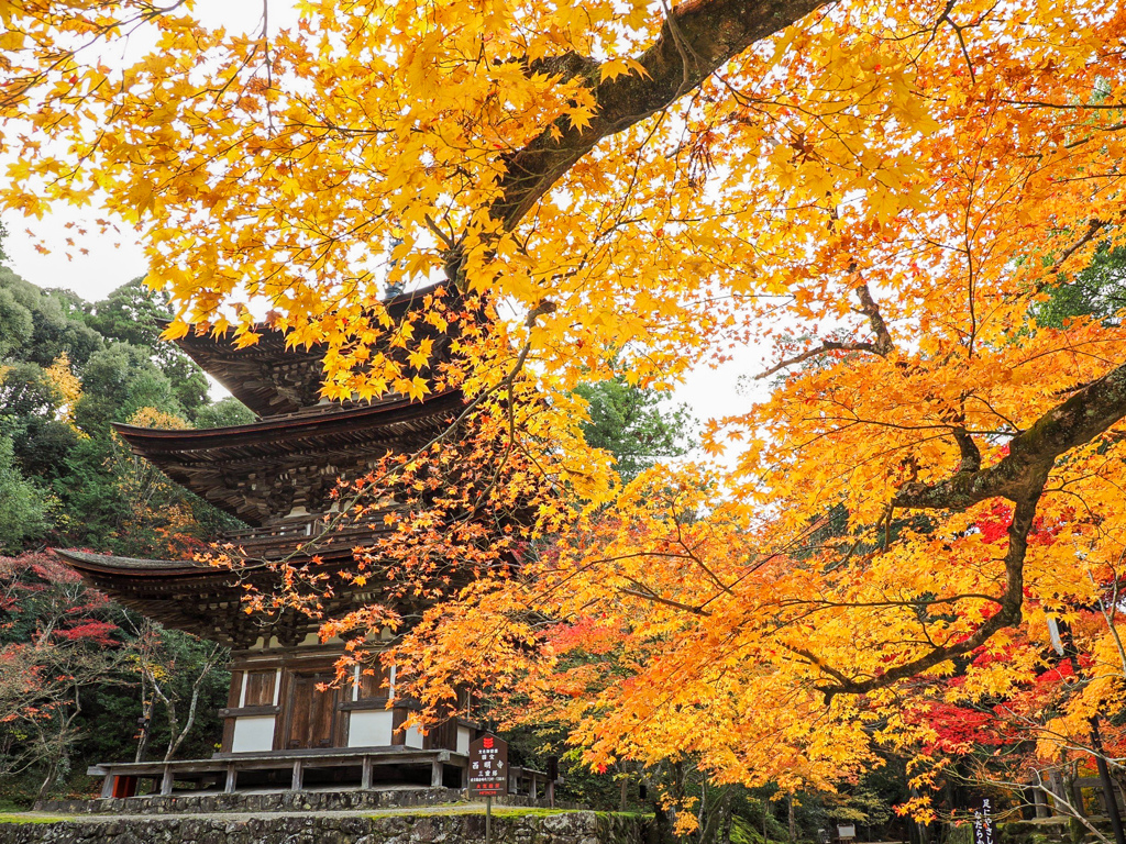 西明寺
