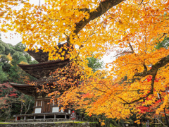 西明寺