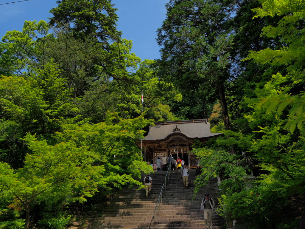 新緑に包まれる神社