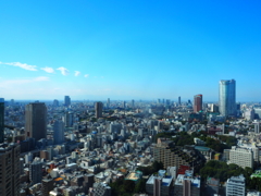 東京タワーからの眺め。