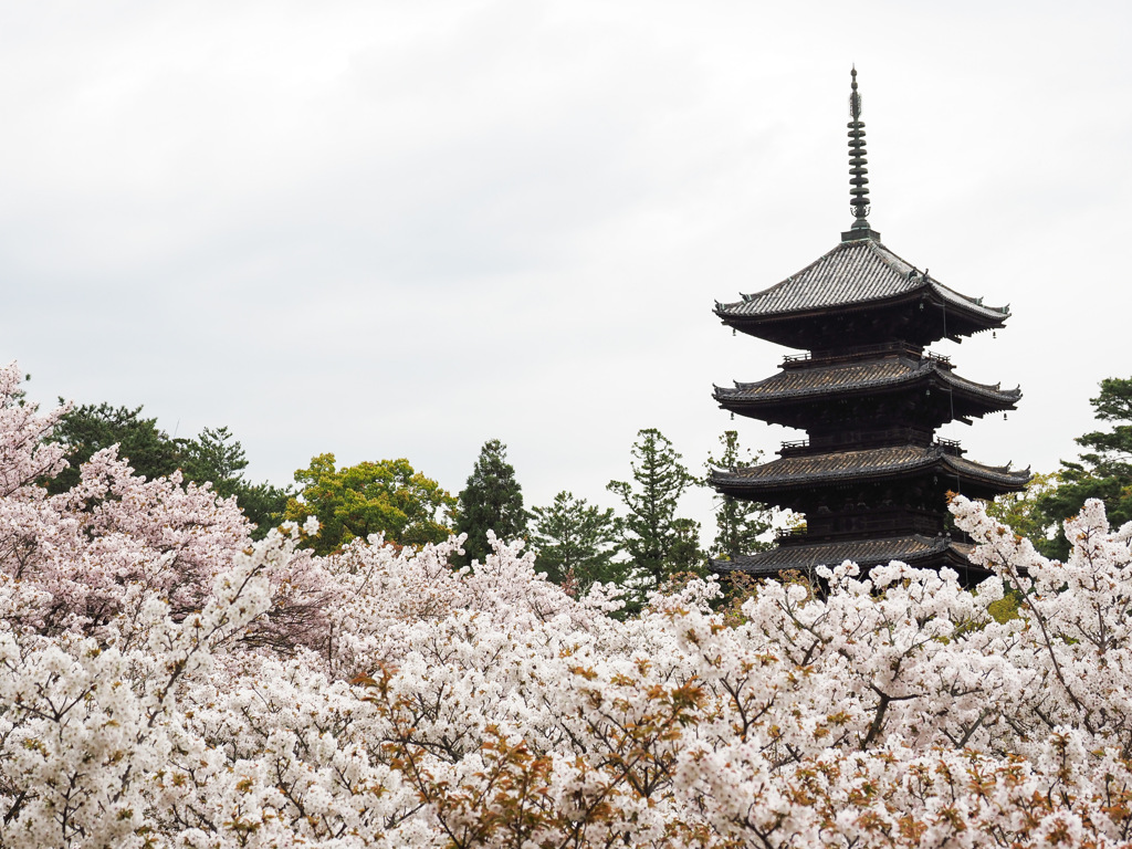 仁和寺