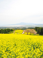 白木峰高原