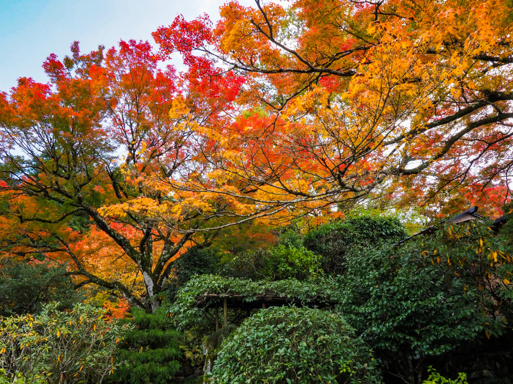 三千院
