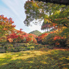 清水寺本坊庭園