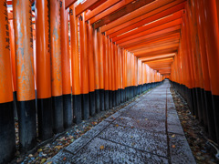 伏見稲荷大社