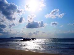 海