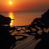 浜野浦棚田の夕日