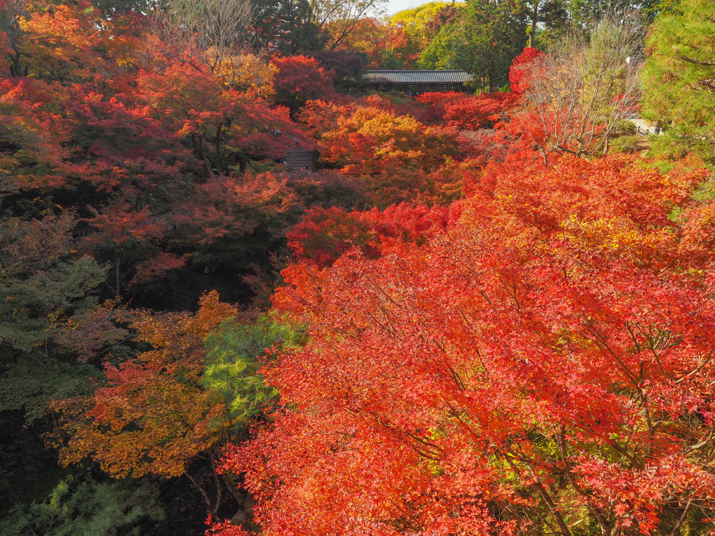 東福寺