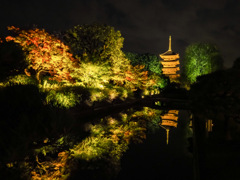 東寺
