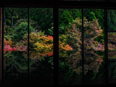 環境芸術の森