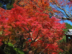別格本山大興善寺