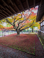 千如寺