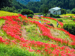 江里山棚田