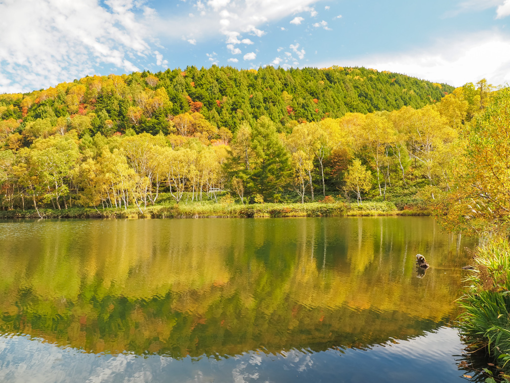 志賀高原　木戸池