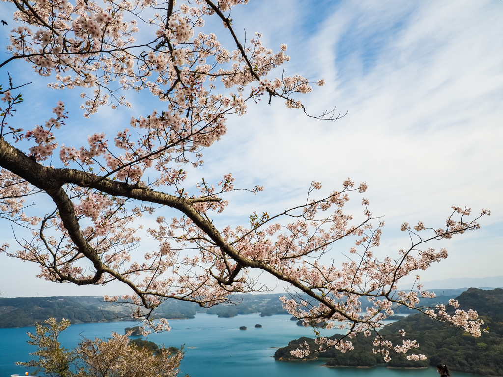 大山展望台