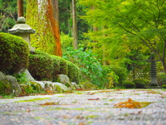 別格本山大覚寺派千如寺。
