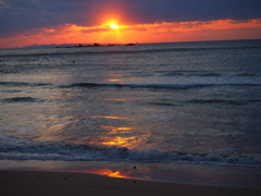 夕日