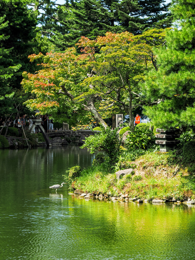兼六園