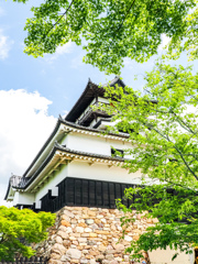 犬山城