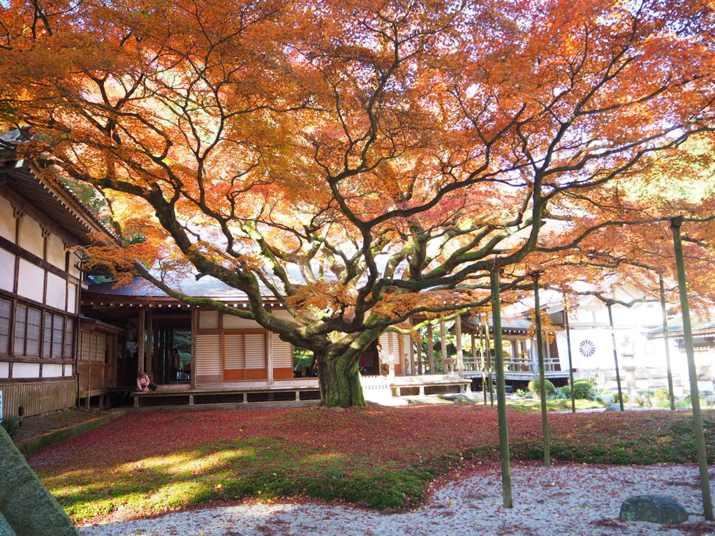 別格本山大覚寺派千如寺