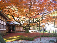 別格本山大覚寺派千如寺