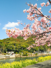 佐々川河川敷