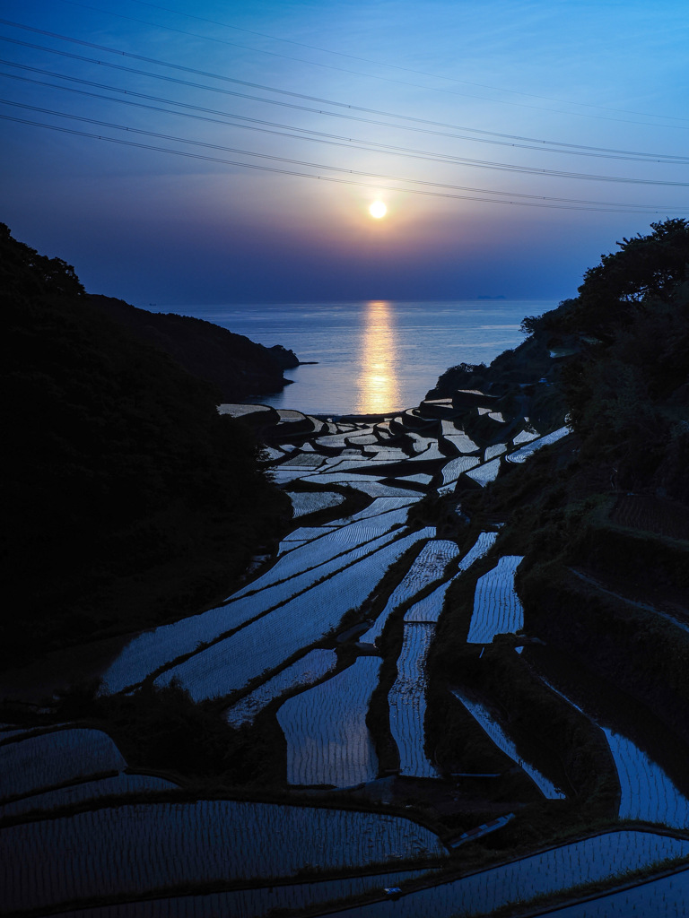 浜野浦の棚田