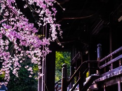 本妙寺