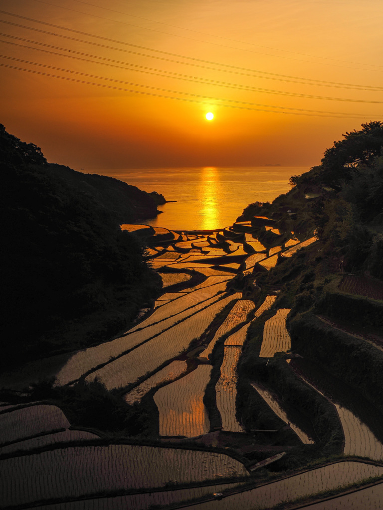 浜野浦の棚田