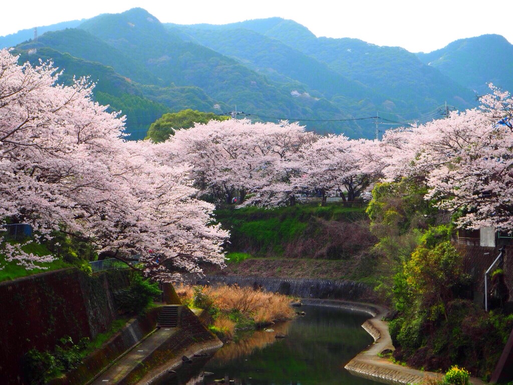 嬉野温泉街