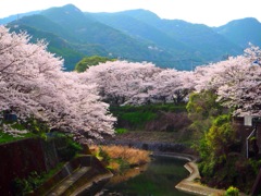 嬉野温泉街