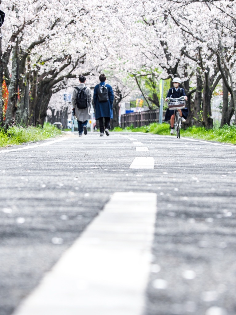 徐福サイクルロード