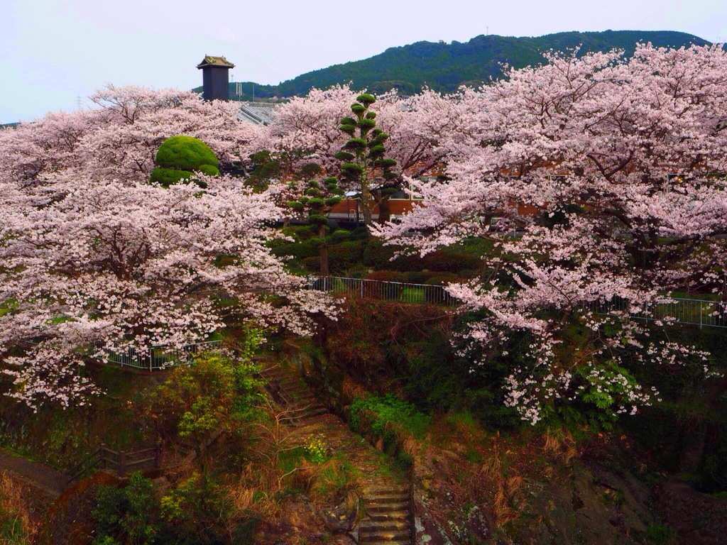 嬉野温泉街