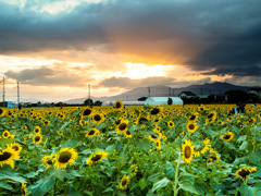 ひょうたん島公園