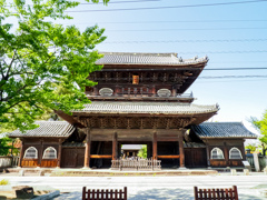 大樹寺