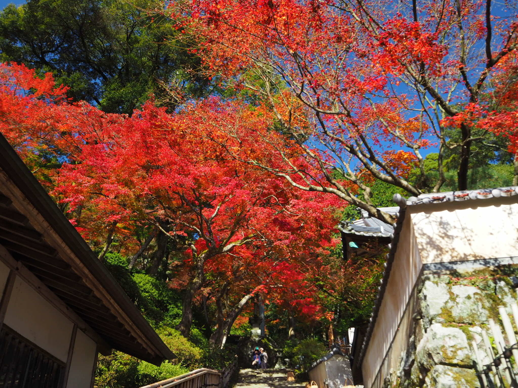 別格本山大興善寺