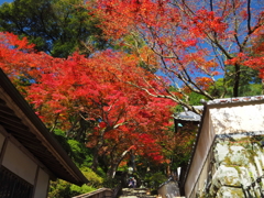 別格本山大興善寺
