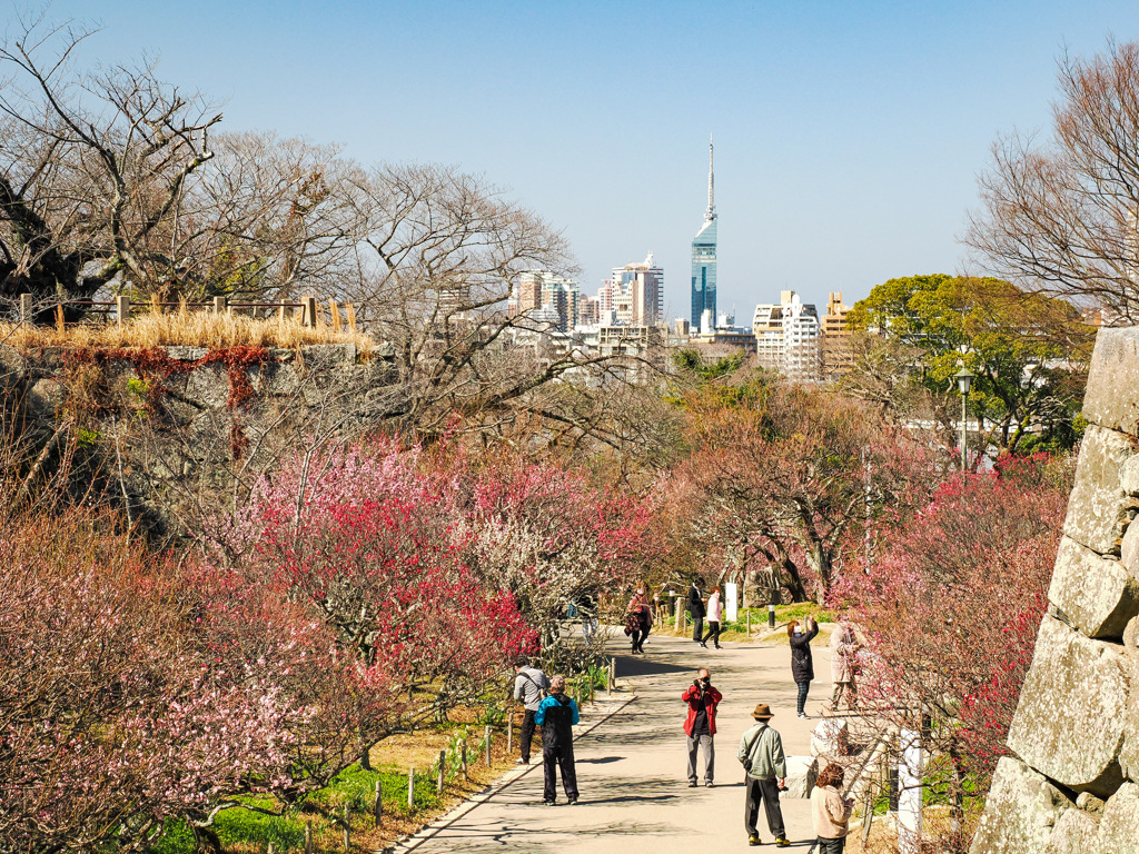 舞鶴公園